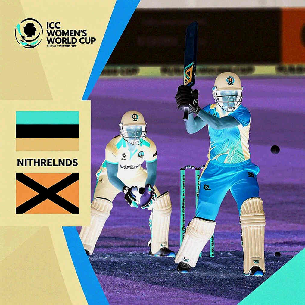 Zero Input, Full Template: Where the Cricket Analysis Information Chain Breaks