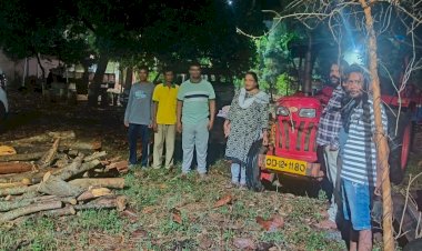 କାଠ ବୋଝେଇ ଟ୍ରାକ୍ଟର ଜବତ, ଚାଳକ ଫେରାର